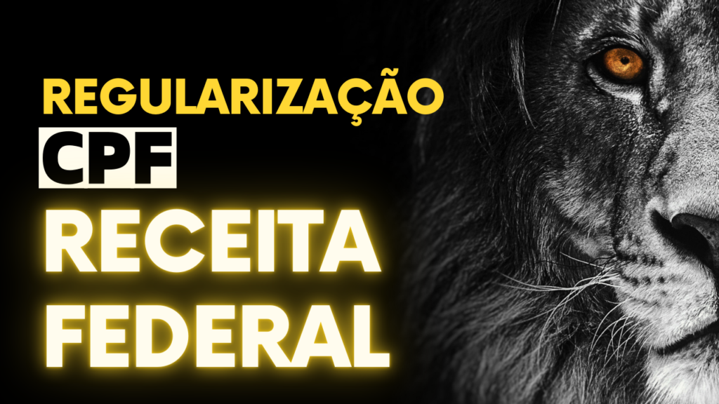 Contabilidade Em Diadema Sp - Expansion Assessoria & Consultoria Contábil