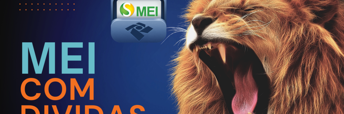 Das Mei - Expansion Assessoria & Consultoria Contábil